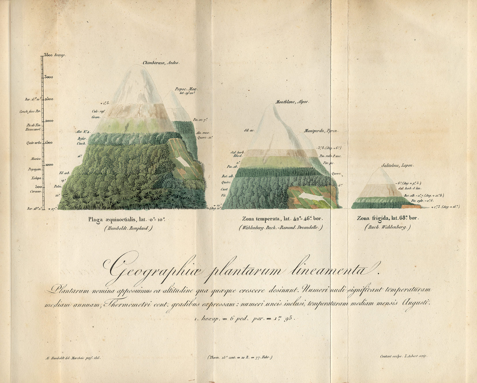 Geographiae plantarum lineamenta