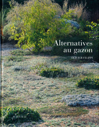 Alternatives au gazon