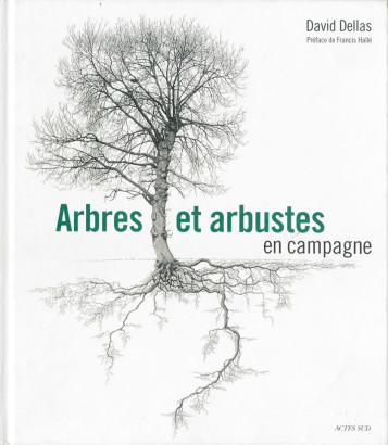 Arbres et arbustes en campage