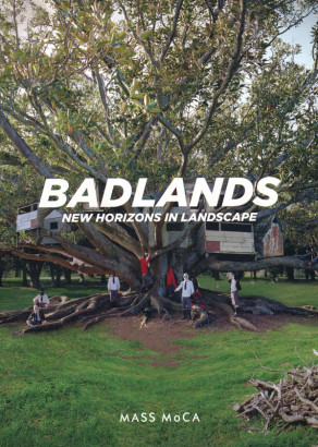 Badlands new horizons in landscape