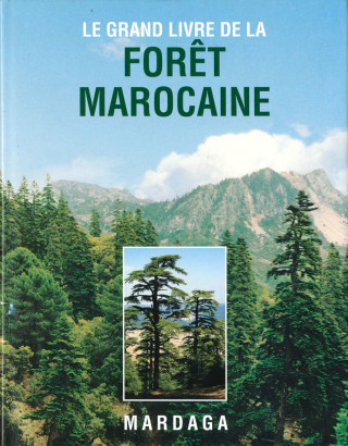 Forêt Marocaine