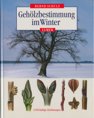 Geholzbestimmung im Winter