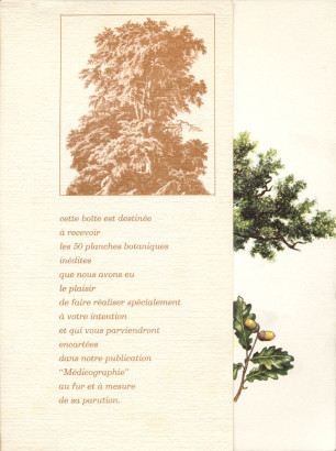 L'Univers des Arbres