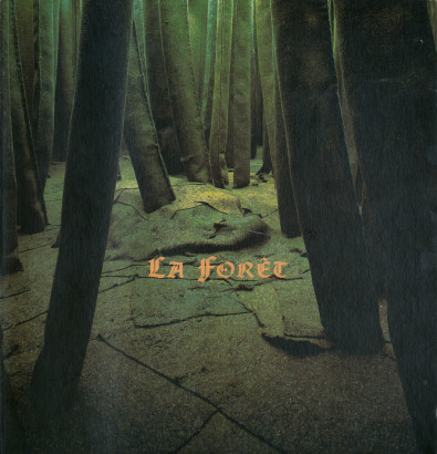 La forêt, la grotte