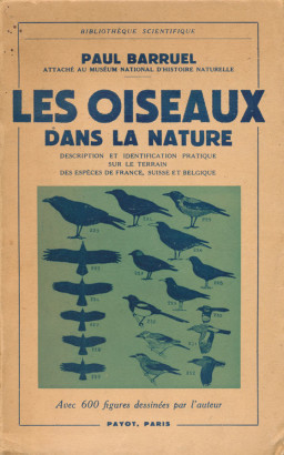 Les oiseaux dans la nature