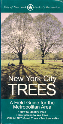 New York City Trees