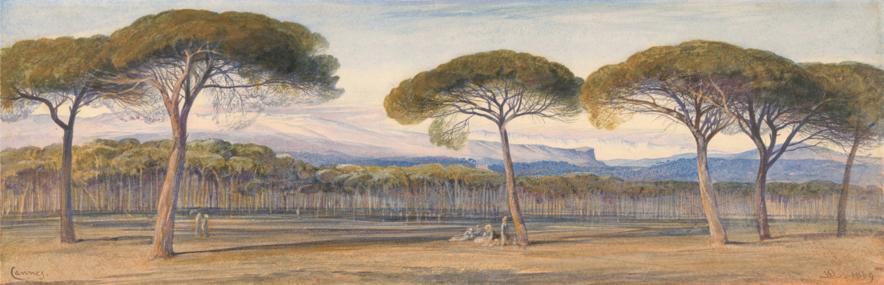 A View of the Pine Woods Above Cannes