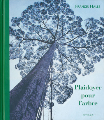 Plaidoyer pour l'arbre