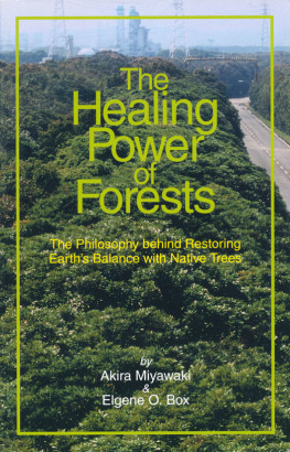 The Healing Power of Forests