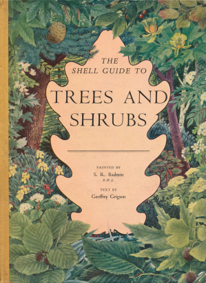 Trees and shrubs