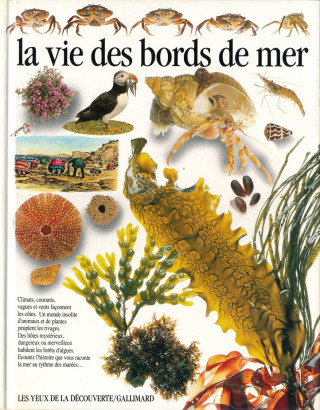 la vie des bords de mer