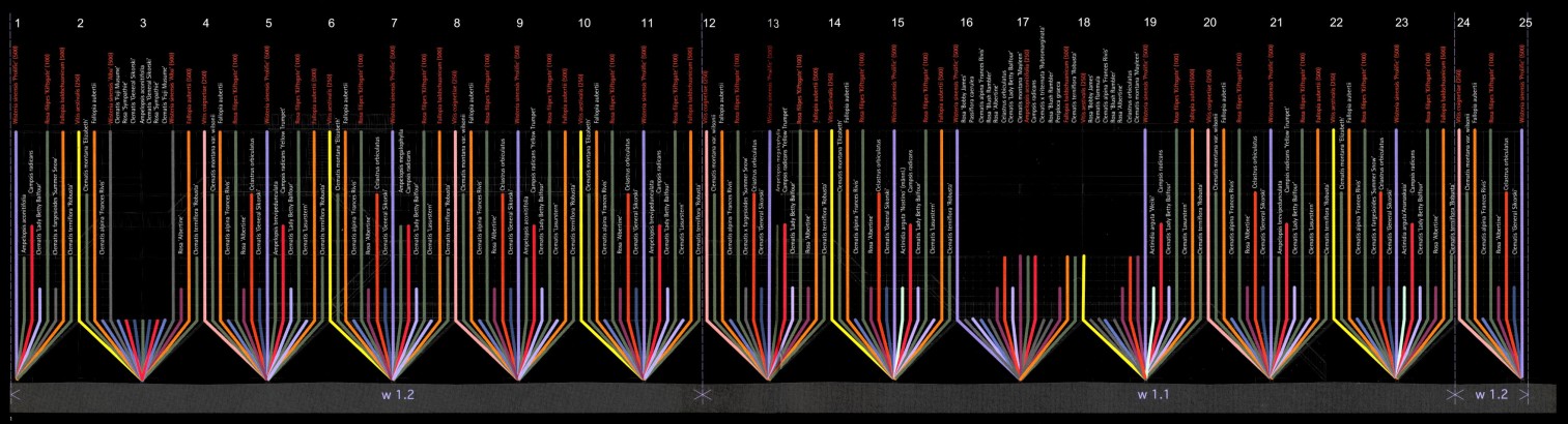 Mfo park elevation