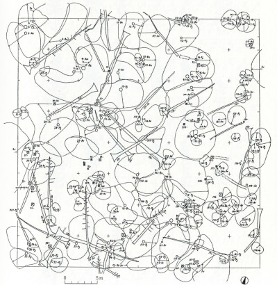 Tree canopy projection, indicating variety of trees making up a forest, with extending branches and spreading-out leaves