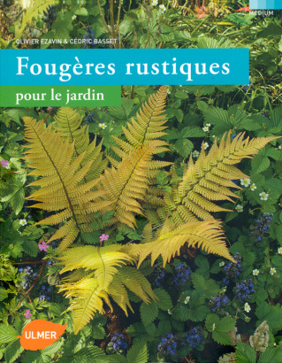 Fougères rustiques pour le jardin