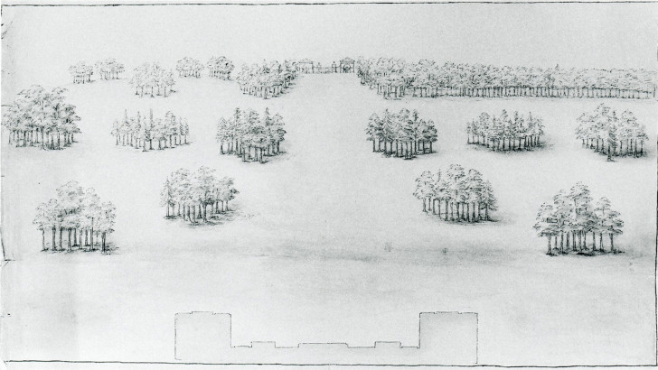 Holkham Hall, sketch of lawn with clumps of trees and a distant entry lodge