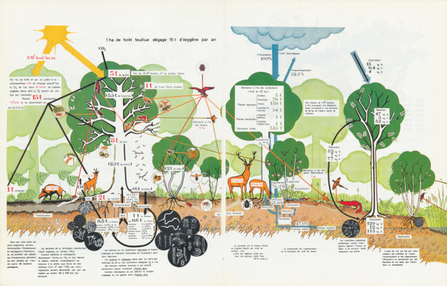 La synthèse écologique