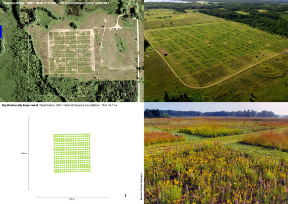 Big Biodiversity Experiment