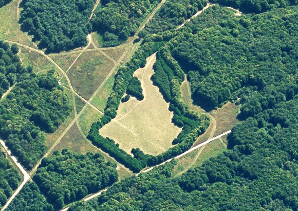 Clairière dans la clairière