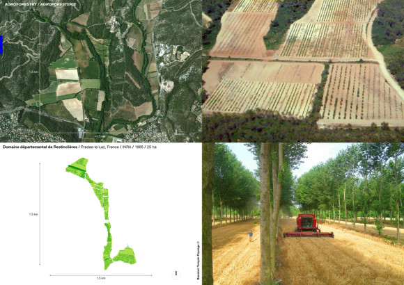 Domaine départemental de Restinclières