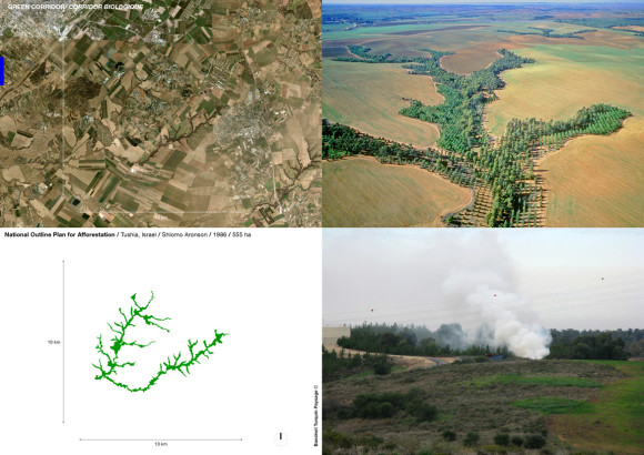 National Outline Plan for Afforestation