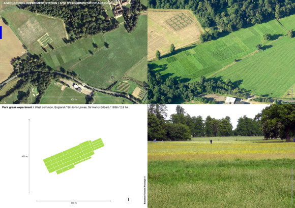 Park grass experiment