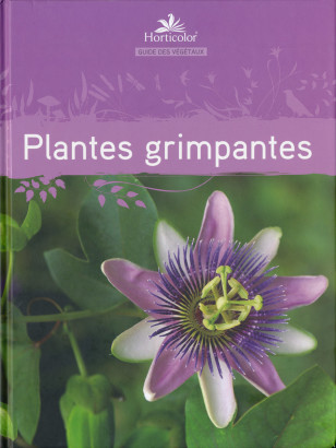 Plantes grimpantes