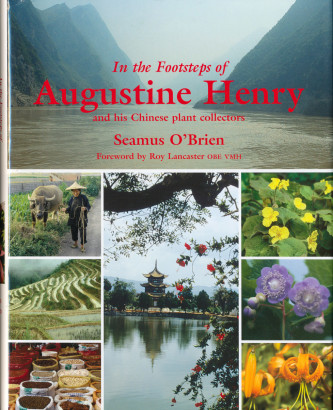 In the footsteps of Augustine Henry