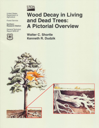 Wood decay in living and dead trees a pictural overview