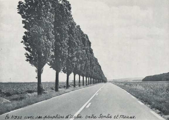 La N330 avec ses peupliers d'Italie entre Senlis et Meaux