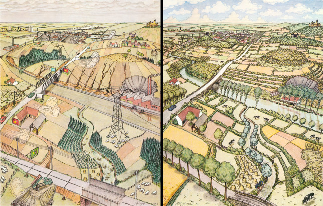 La synthèse écologique planche 15 & 16