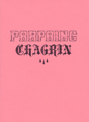 Parpaing chagrin