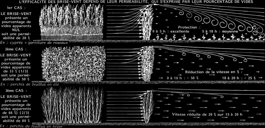 L'éfficacité des brise-vent dépend de leur perméabilité