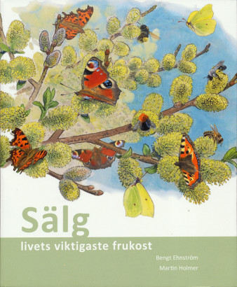 Sälg